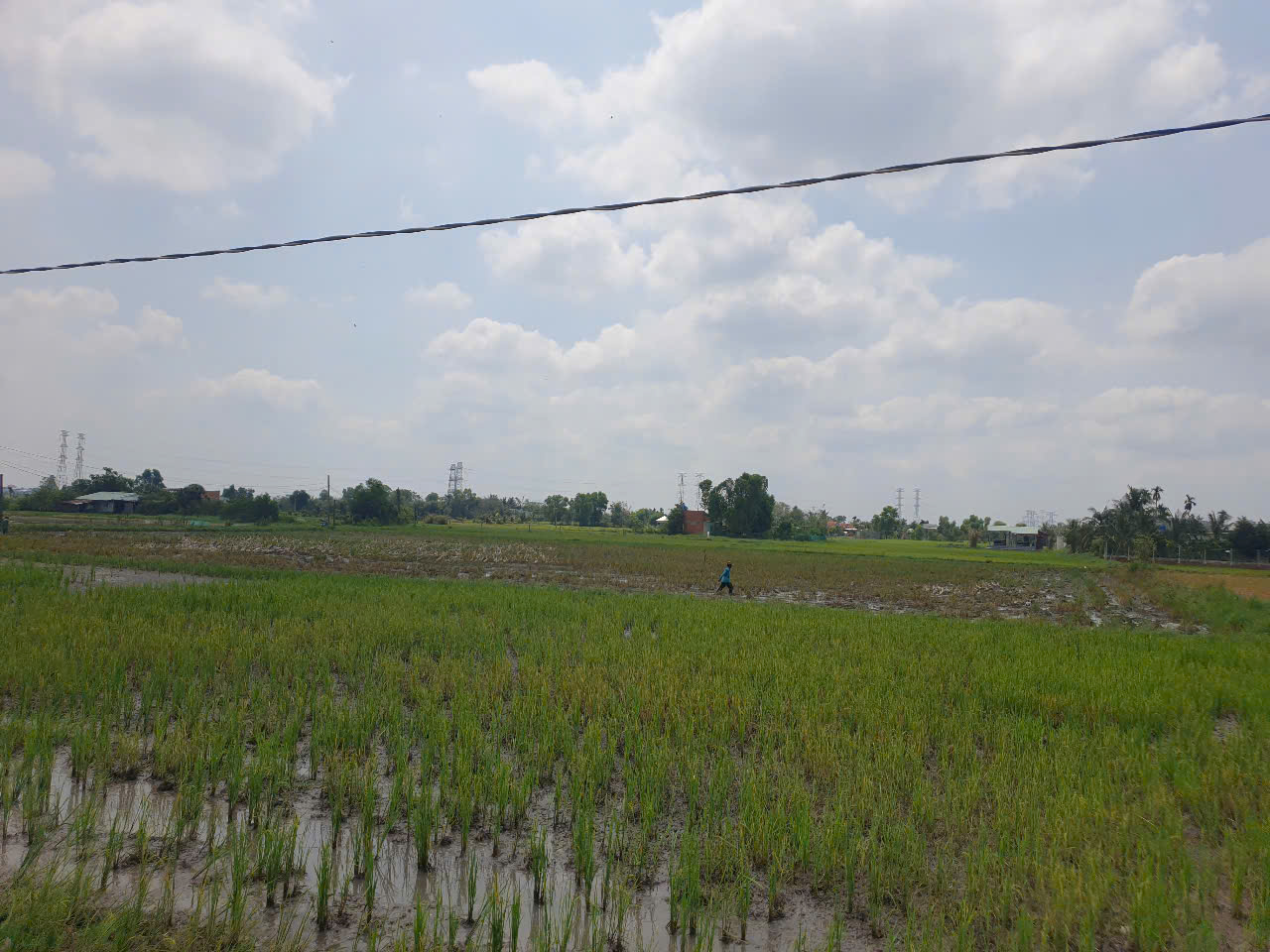 Đất nền giá ngon 