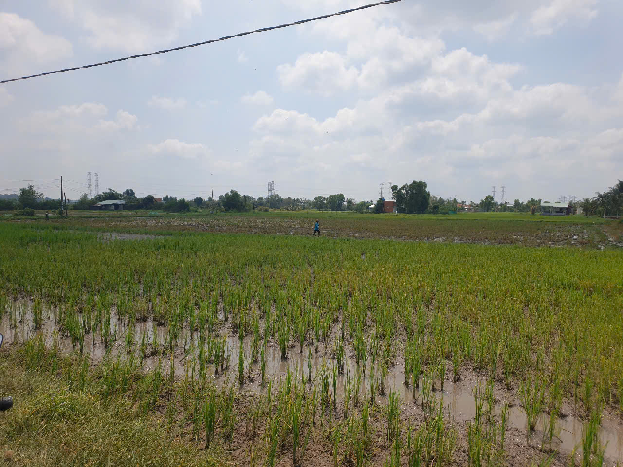 Đất nền giá ngon 