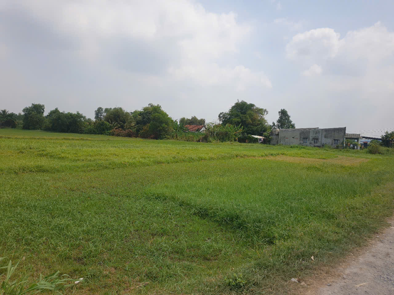 Đất nền giá ngon 