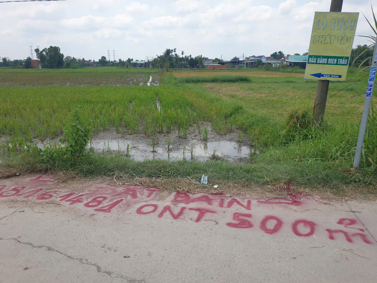 Đất nền giá ngon 
