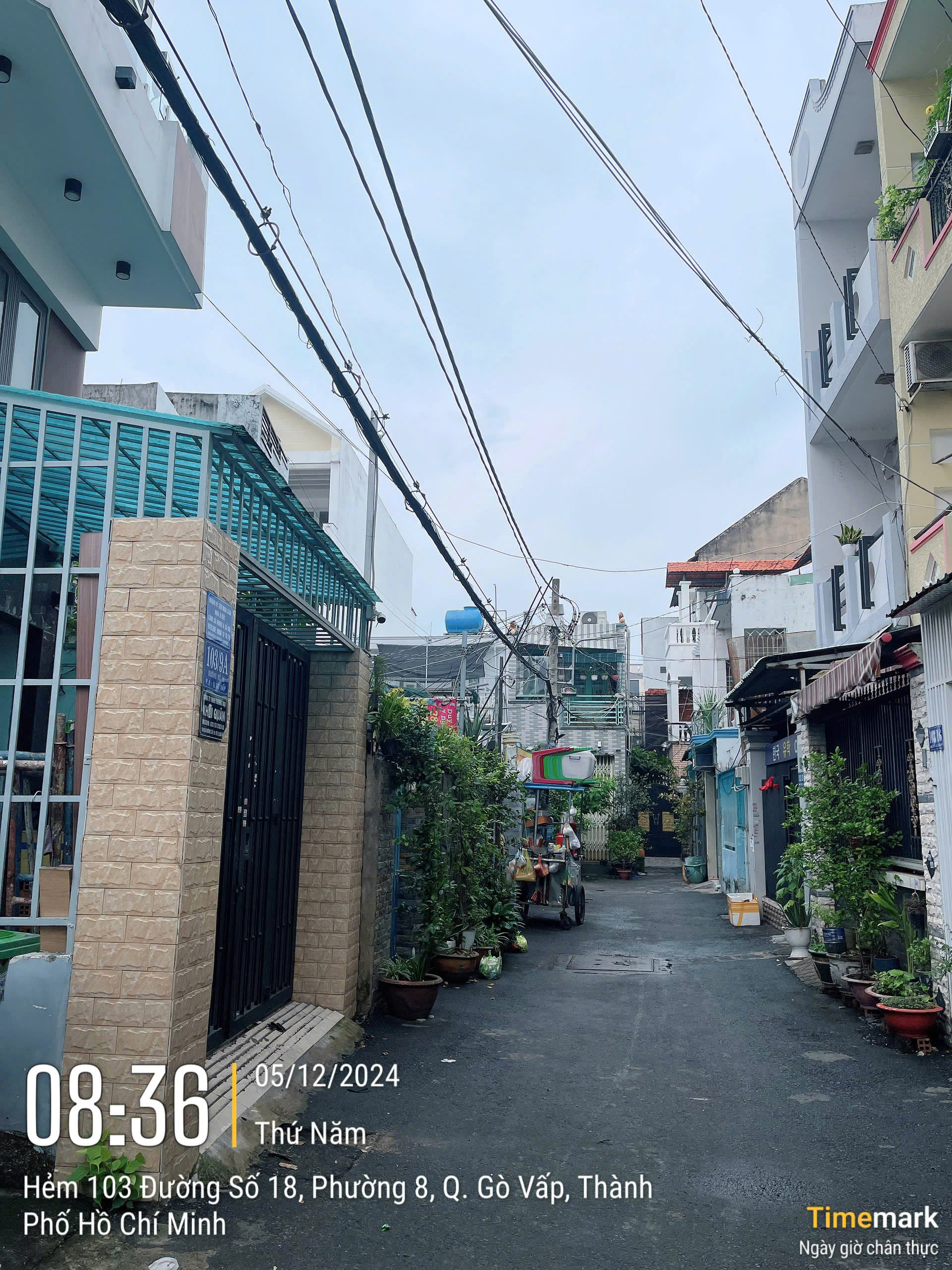 Tài sản Gò Vấp - 8t5