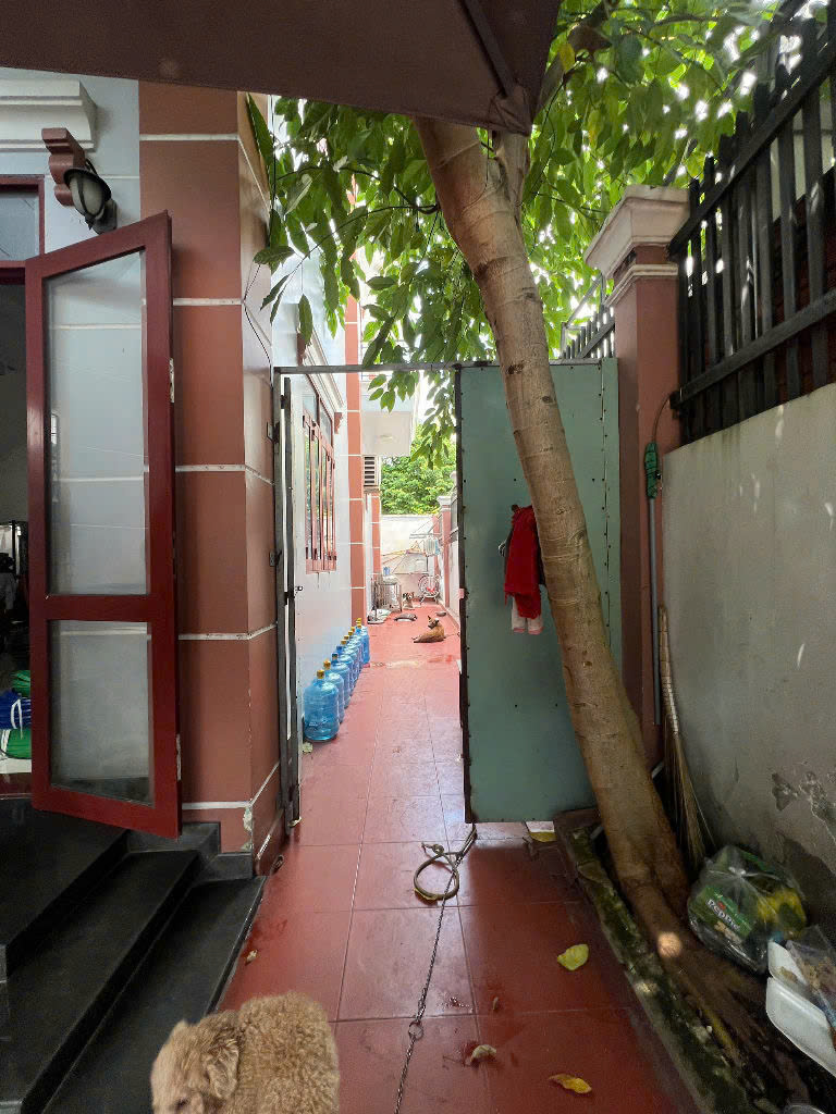Nhà đất Bình Chánh 9t