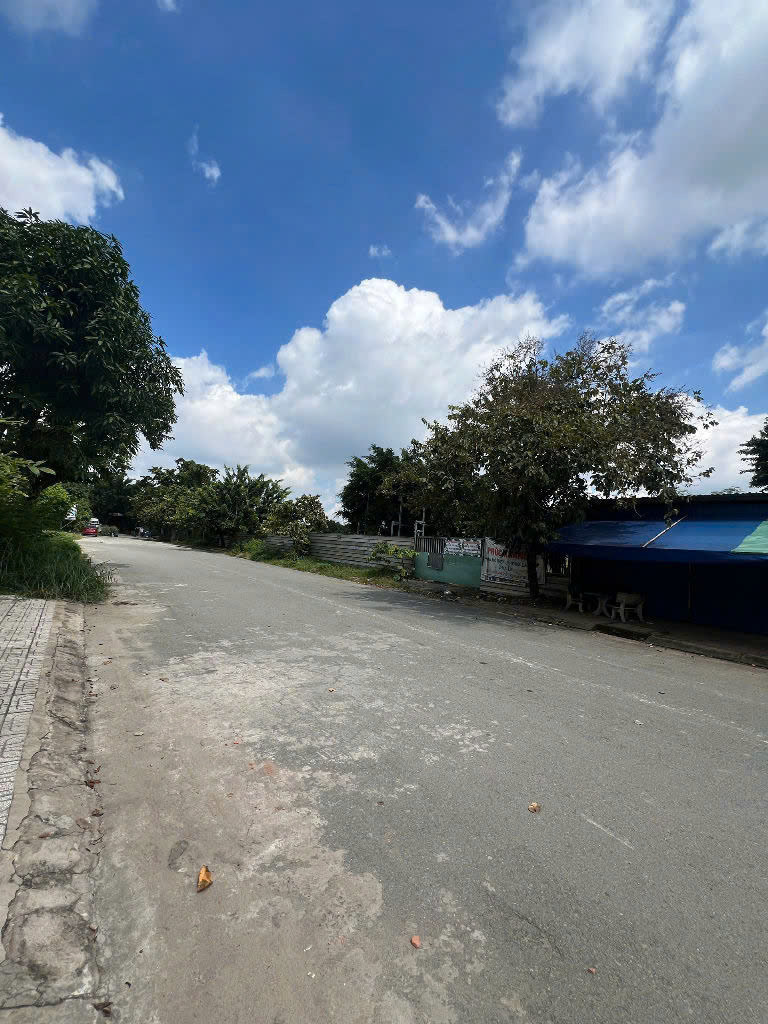 Nhà đất Bình Chánh 9t
