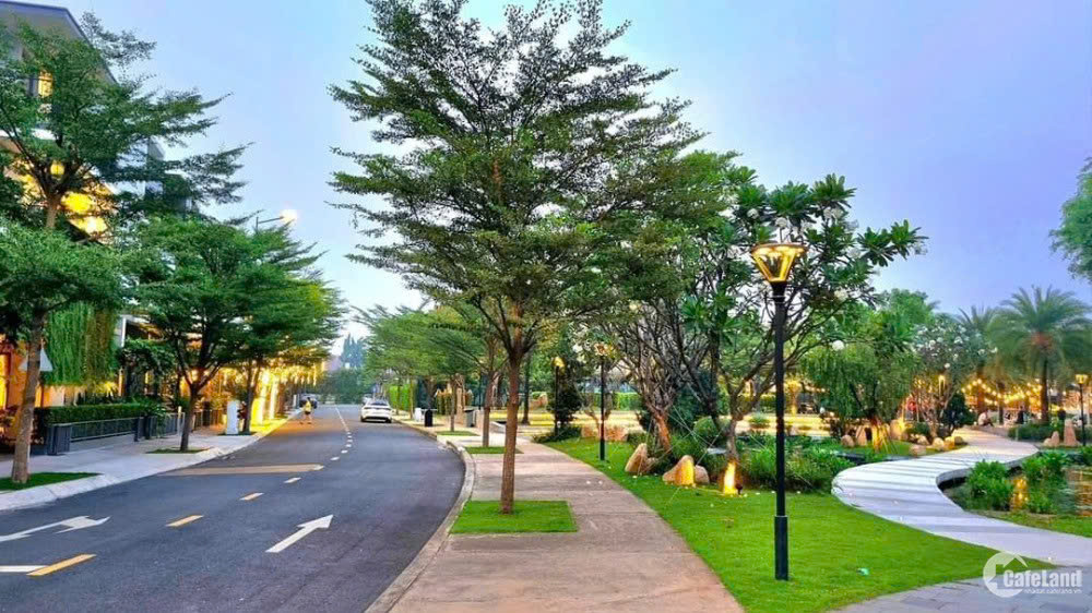 Dự án The Standard Tân Uyên 